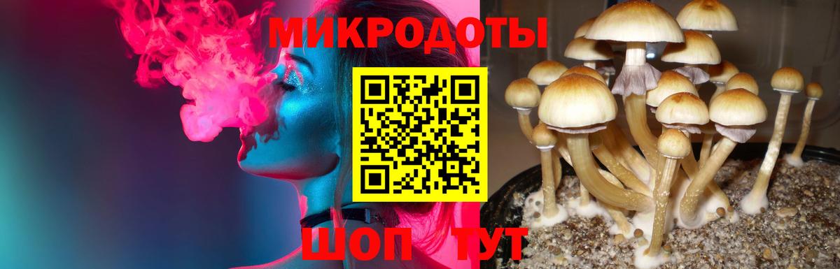 Коммунар  Галлюциногенные грибы Psilocybine cubensis  Вход с VPN 